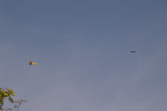 f-schlepp_2versuch_33_20120822_1243332171