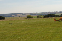 schlepp_1_20120830_1259818939