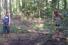 schlepp_4_20120830_1809881321