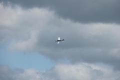 mit_einer_jak_als_schlepper_2_20110723_1357172450