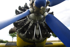 f-schl2010_20100815_1813046037