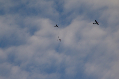 f-schlepp09_20100811_1318157887