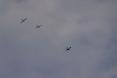 f-schlepp09_20100811_1342154040