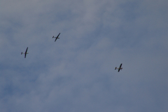 f-schlepp09_20100811_2013920948
