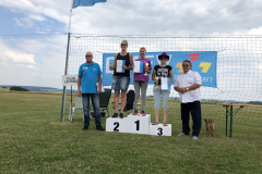 falli2018_31_20180616_1671160965