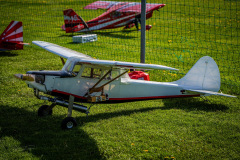 falli-2022-_30_20220514_1303945874