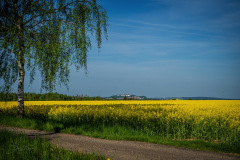 falli-2022-_4_20220514_2037253029