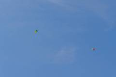 falli2023-_24_20230709_1387201606