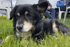 familiennachmittag_20_20230520_1981275680