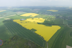 familiennachmittag_7_20230520_1612941525