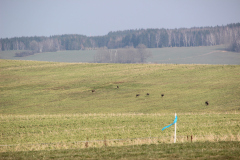 maerz_16_20190401_1166708897