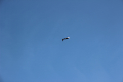 maerz_25_20190401_1739963537