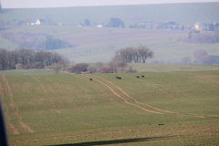 maerz_26_20190401_1541265322