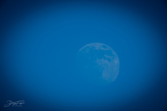 13feb_5_20220213_1032655396