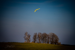 sonntag-27-03-2022-_23_20220327_1181096031