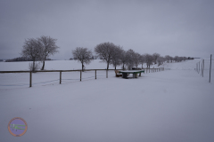 der_platz_12_20230313_1675896161