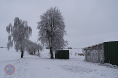 der_platz_14_20230313_1897908240