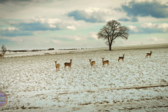 der_platz_21_20230313_1341199212