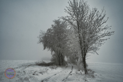 der_platz_2_20230313_1217826839