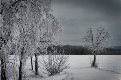 der_platz_5_20230313_1886069590