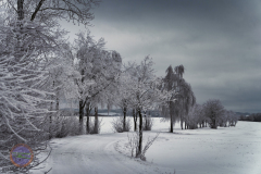 der_platz_6_20230313_1408743232