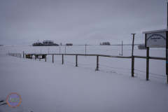 der_platz_8_20230313_1849923384