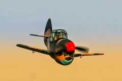 stamm3-_7_20241021_1867997883
