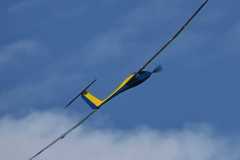 stamm3-_9_20241021_1293316210