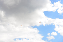 flug2018_112_20180825_1611257276
