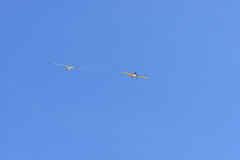 flug2018_226_20180825_1991094611