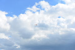 flug2018_37_20180825_1934972092