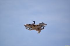 fs2018_56_20180814_1868300216