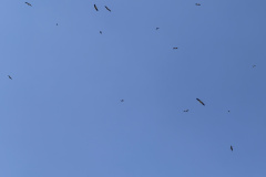 flugspass_9_20210726_1620241832