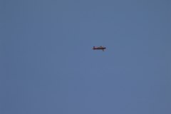 flugtag_121_20130802_1219156069