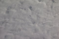 flugtag_165_20130802_1359123579