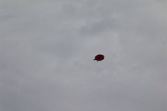 flugtag_181_20130802_1766063158