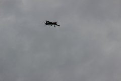 flugtag_2013_130_20130728_1872262835