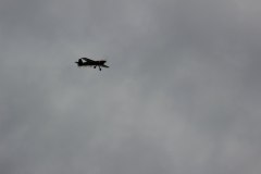 flugtag_2013_131_20130728_1026420910