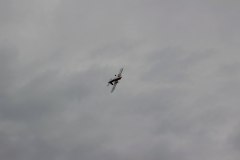 flugtag_2013_144_20130728_1268836572