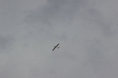 flugtag_2013_152_20130728_2013537072