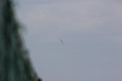 flugtag_2013_155_20130728_1566221952