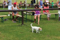 flugtag_2013_41_20130728_1791804591