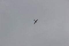 flugtag_2013_77_20130728_1222562988