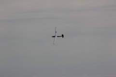 flugtag_2013_85_20130728_1364469819