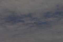 flugtag_202_20130802_1403192413