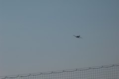 flugtag_26_20130802_1663498297