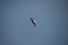 flugtage_104_20131003_1436106095