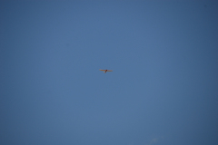 flugtage_126_20131003_1222417593