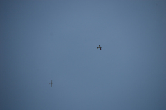 flugtage_132_20131003_1759025001