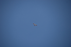 flugtage_134_20131003_2068088270